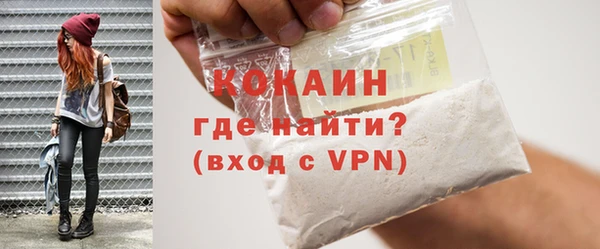 шишки Богородицк