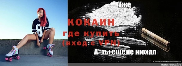 шишки Богородицк