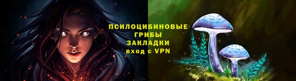 соль курить ск Богданович