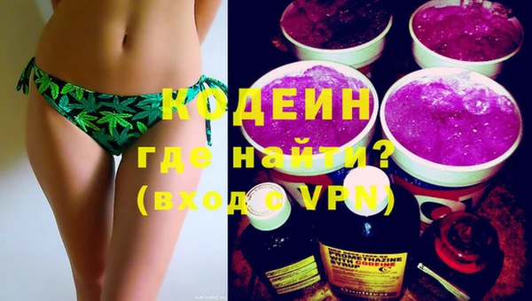 шишки Богородицк
