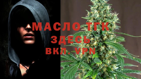шишки Богородицк
