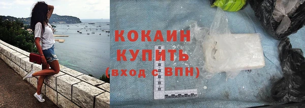 шишки Богородицк
